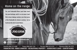 PanhandlePlainsHorse